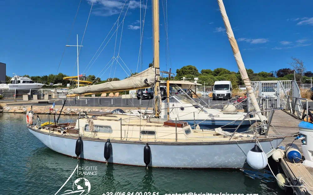 Wauquiez Elizabethan 29 usato - foto 1