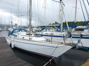 Pacific 38 used - photo 1