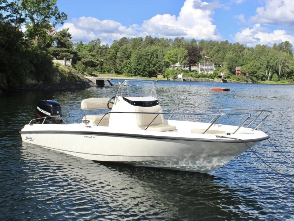 Boston Whaler 210 Dauntless used - photo 1