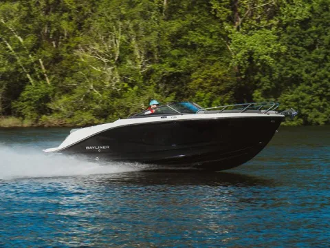 Bayliner C21i used - photo 1