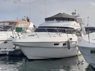 Sealine F43 d'occasion - photo 1
