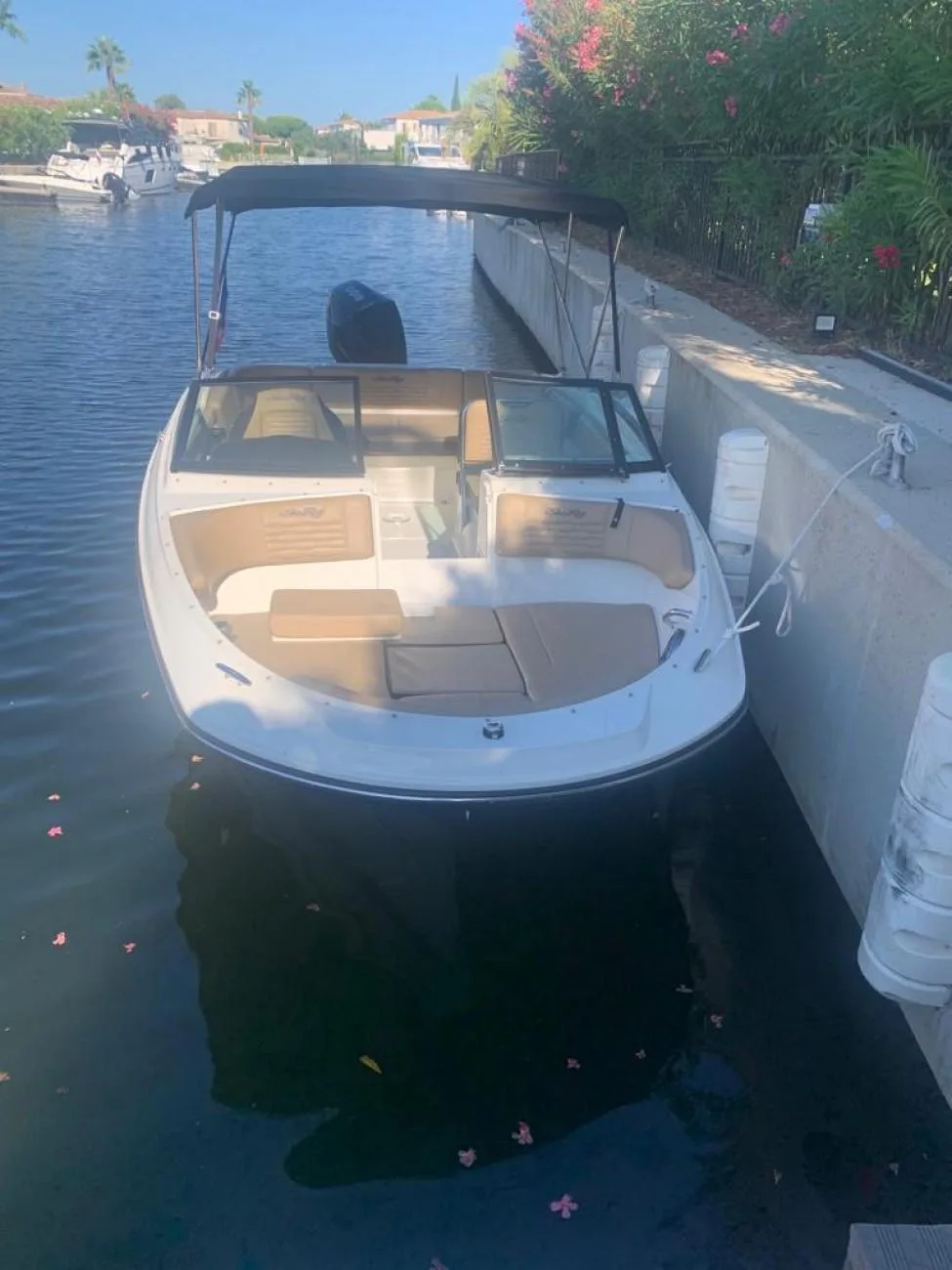 Sea Ray 210 spx ob used - photo 1