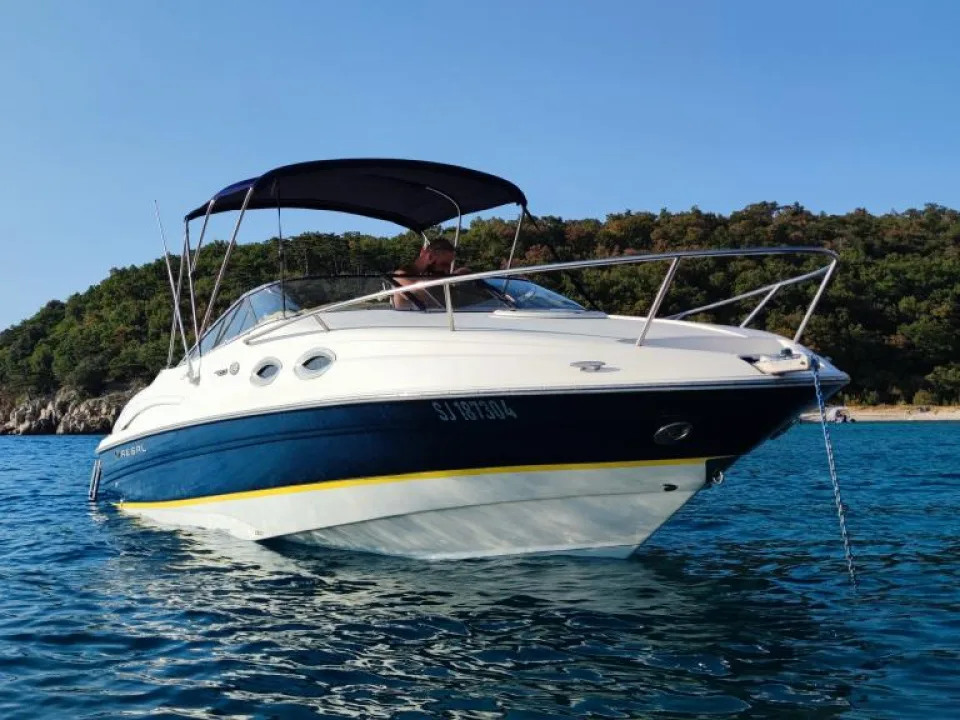 Regal 2650 Lsc gebraucht - Foto 1