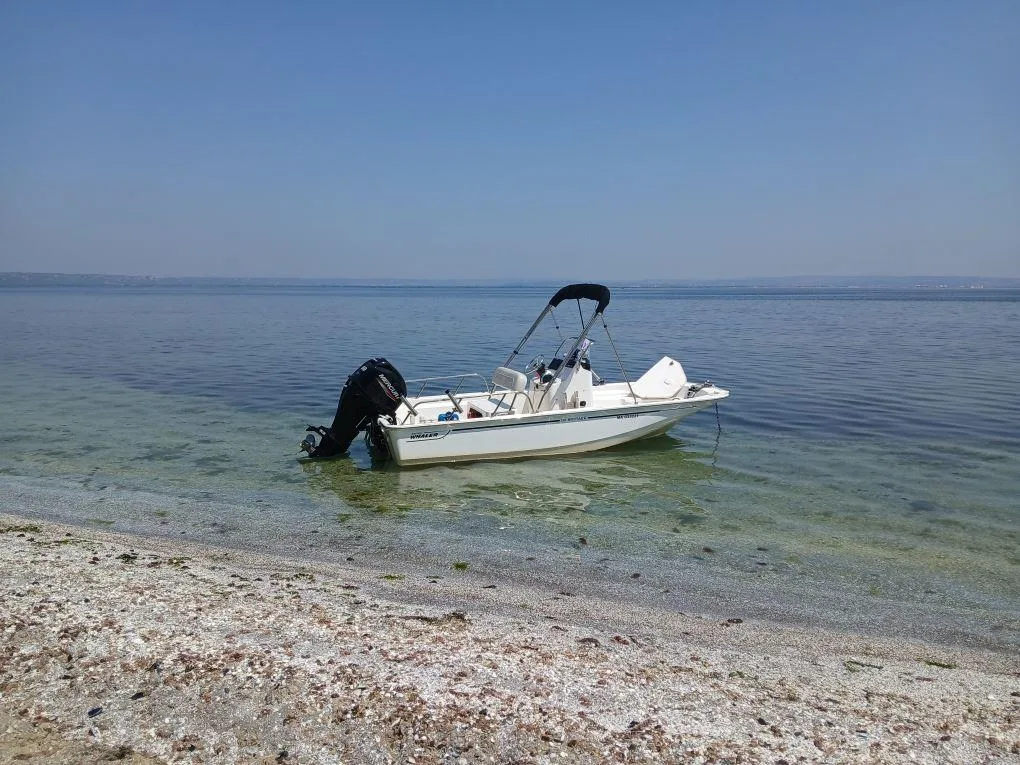 Boston Whaler 150 montauk used - photo 1