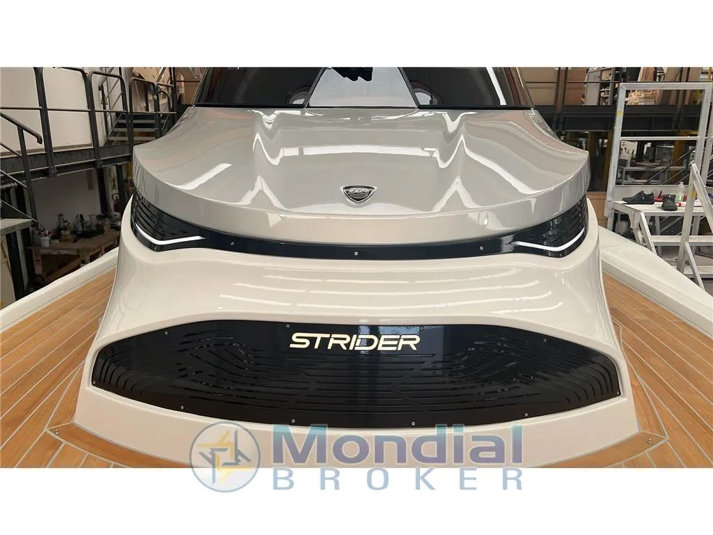 SACS New Strider 13 EFB usato - foto 1