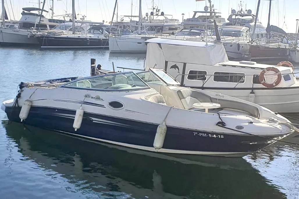 Sea Ray 240 Sundeck gebraucht - Foto 1