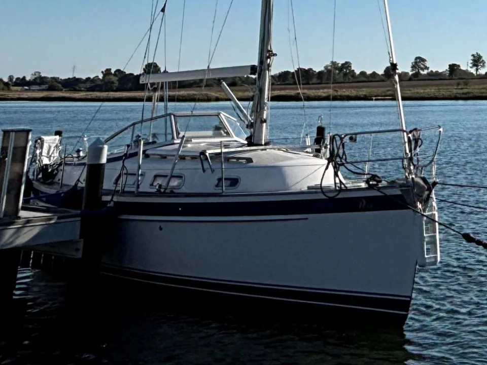 Hallberg-Rassy 310 used - photo 1