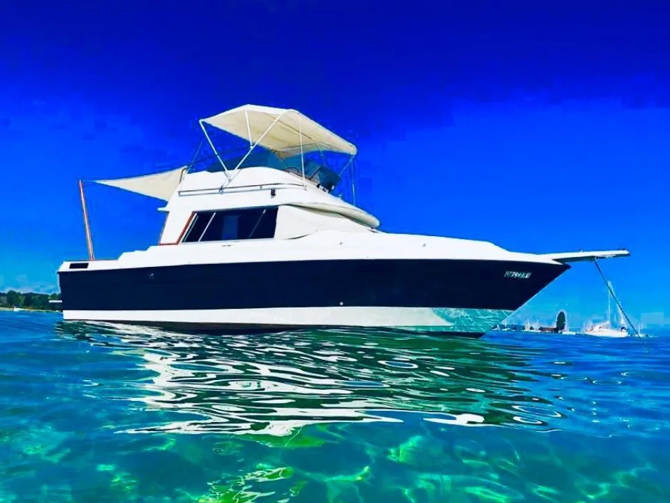 Bayliner 2556 Ciera Command Bridge gebraucht - Foto 1