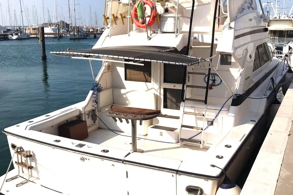 Bertram 43 Flybridge used - photo 1