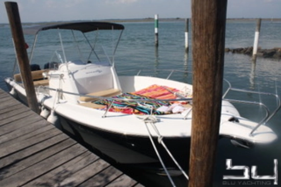 White Shark 246 d'occasion - photo 1