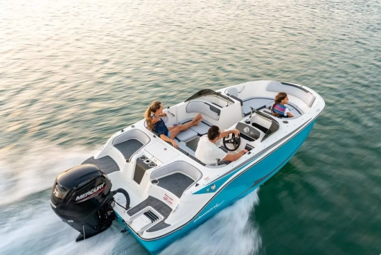 Bayliner ELEMENT M17 gebraucht - Foto 1