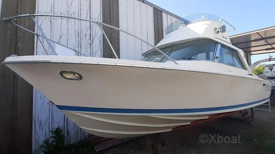 Riva bertram 25 sport fisherman gebraucht - Foto 1