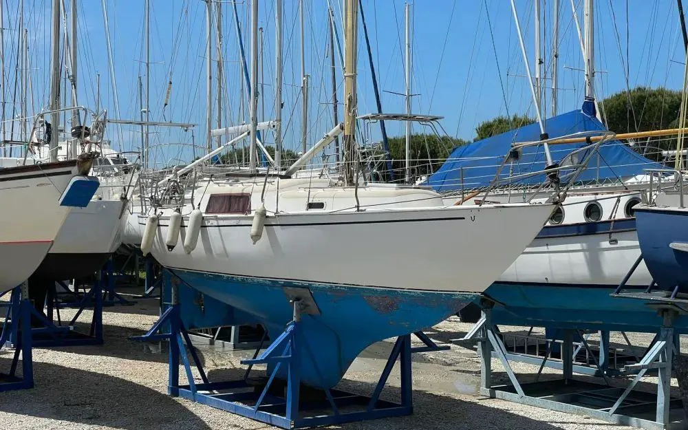 Wauquiez Victorian 28 used - photo 1