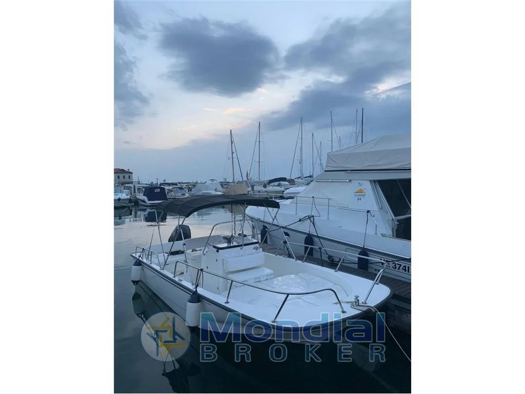 Boston Whaler Montauk 210 used - photo 1