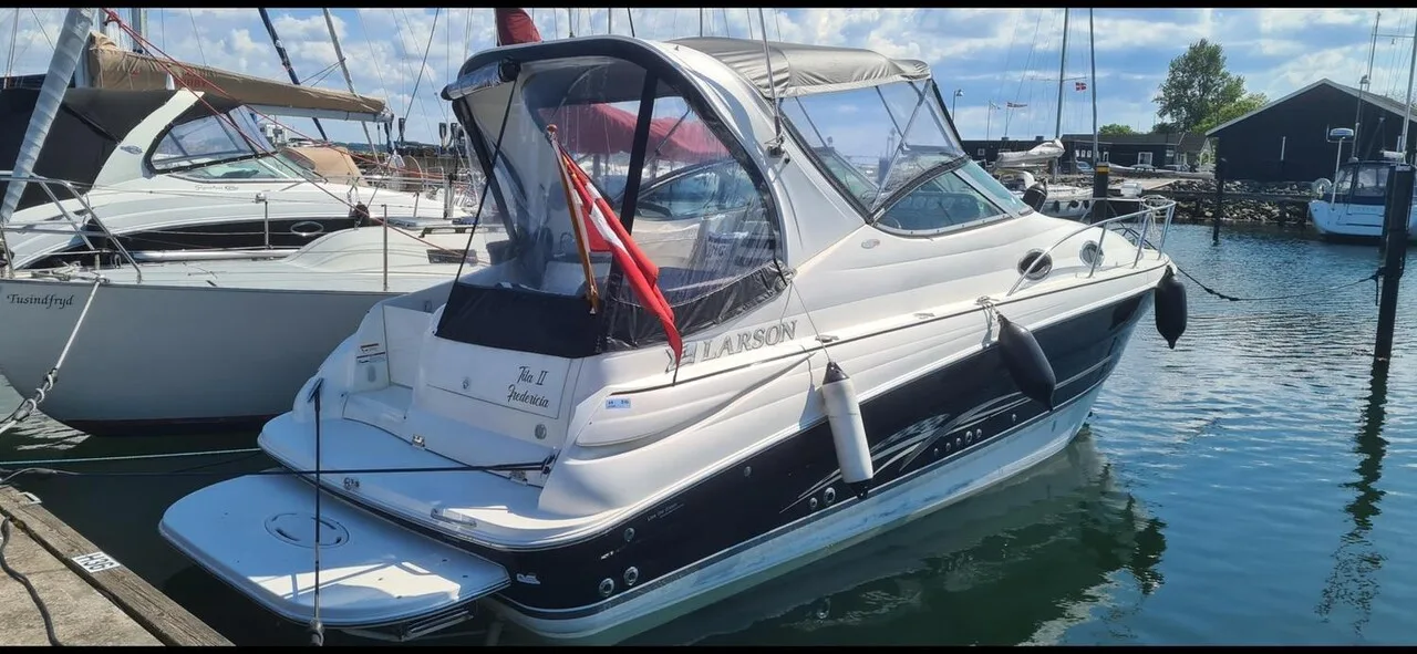 Larson 290 used - photo 1