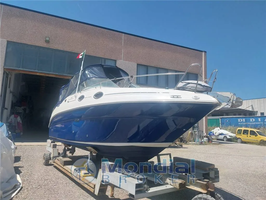 Sea Ray 255 DAE (tutto 2009) gebraucht - Foto 1