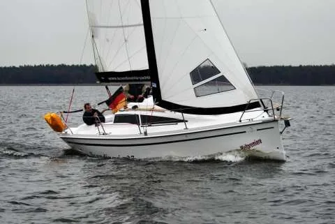Scandinavia 27 used - photo 1