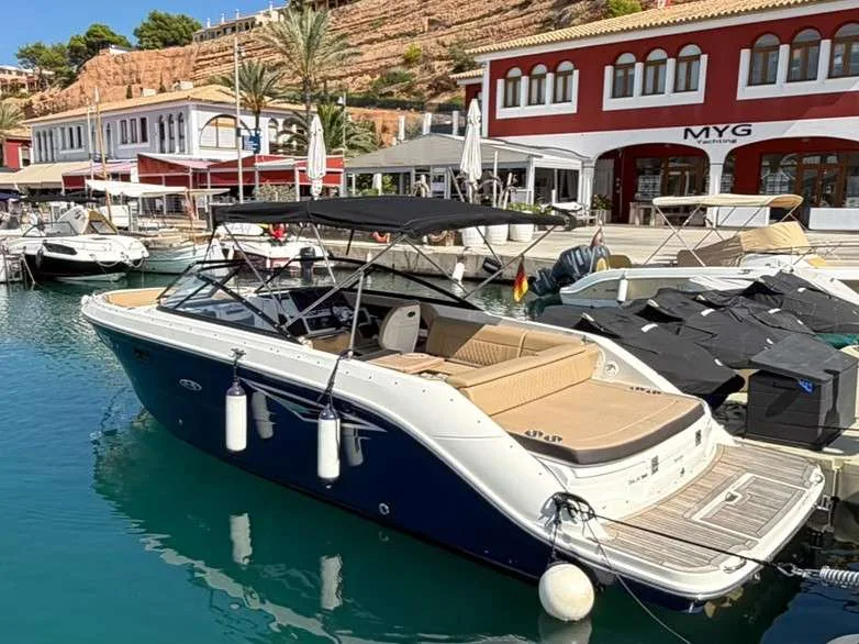 Sea Ray 250 SLX gebraucht - Foto 1