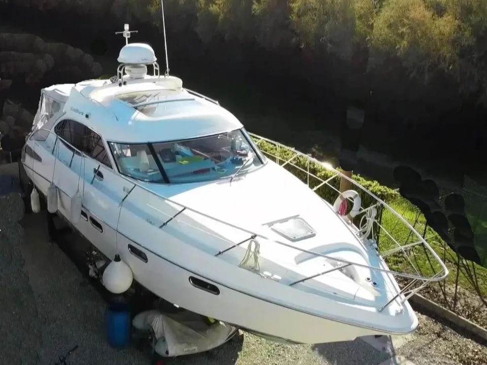 Sealine C39 usato - foto 1