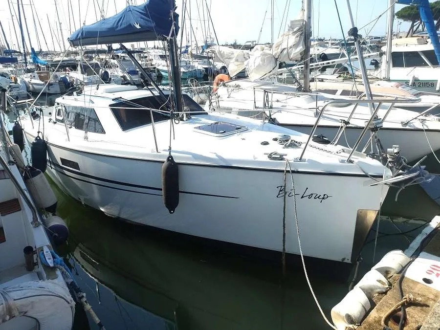 Wrighton BILOUP 78 usato - foto 1