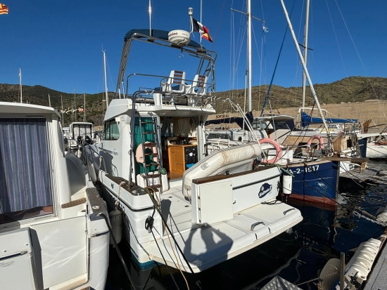 Starfisher 1060 usato - foto 1