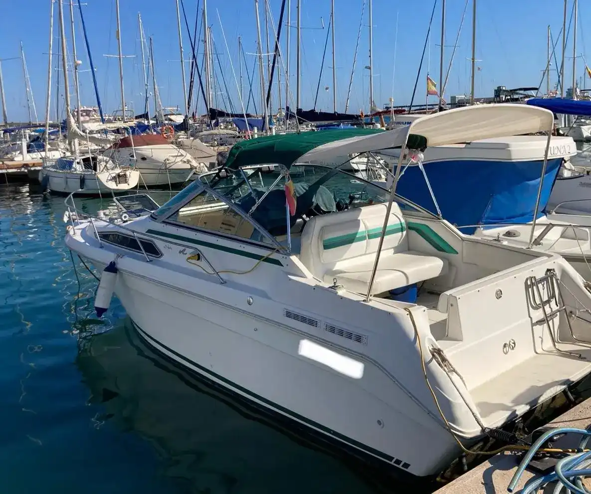 Sea Ray Sundancer 270 gebraucht - Foto 1