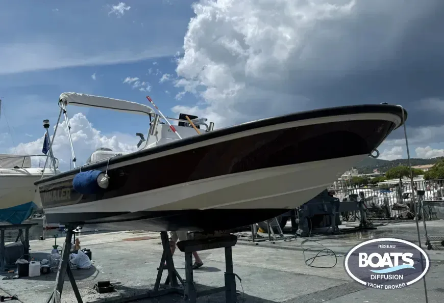 Boston Whaler 15 Dauntless used - photo 1