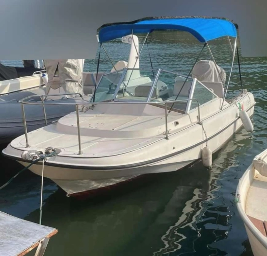 Boston Whaler REVENGE 19 used - photo 1