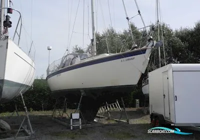 Westerly Falcon 35 usato - foto 1