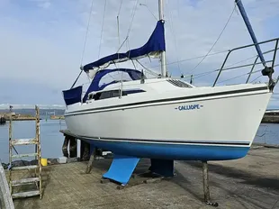 British Hunter Ranger 265 usato - foto 1