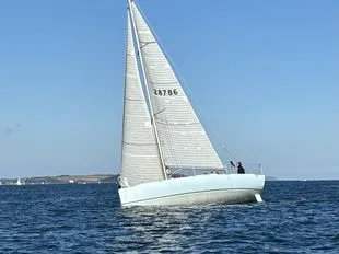 Pogo 8.50 gebraucht - Foto 1