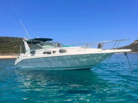 Sea Ray SUNDANCER 290 used - photo 1