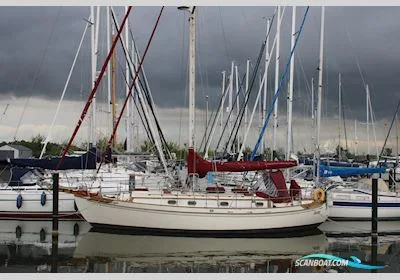 Tayana 37 used - photo 1