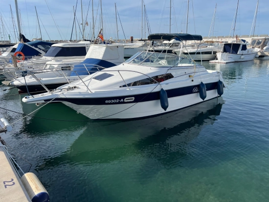 Bayliner Cierra 2655 gebraucht - Foto 1