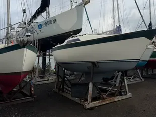 Oyster 26 usato - foto 1
