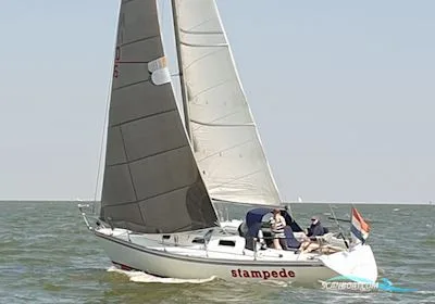 Contessa 34 Ood used - photo 1