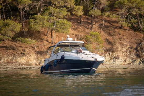Sea Ray Sundancer 390 DA gebraucht - Foto 1