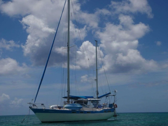 Wauquiez AMPHITRITE 43 usato - foto 1