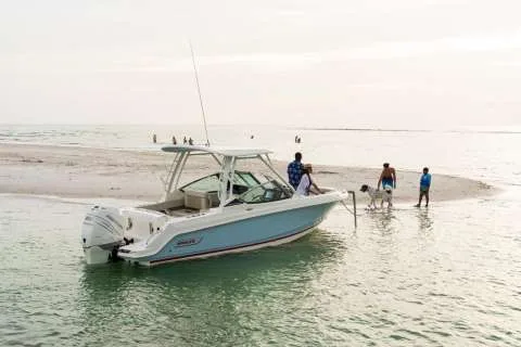 Boston Whaler 240 Vantage used - photo 1