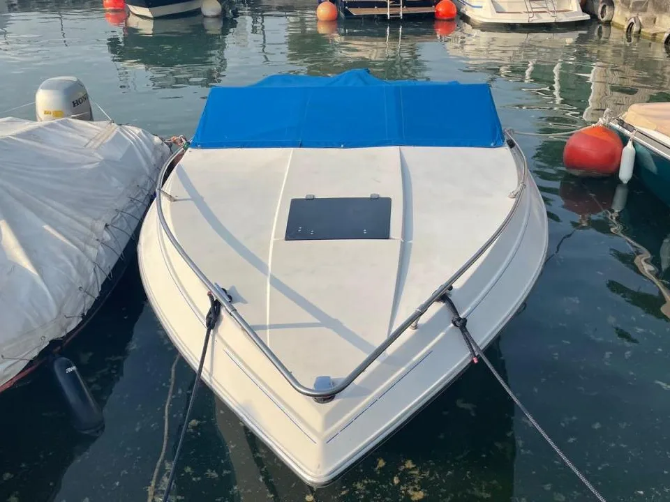 Wellcraft 190 Classic gebraucht - Foto 1