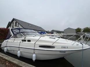 Sealine S28 usato - foto 1