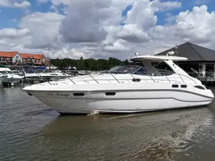 Sealine S41 Sports Cruiser usato - foto 1
