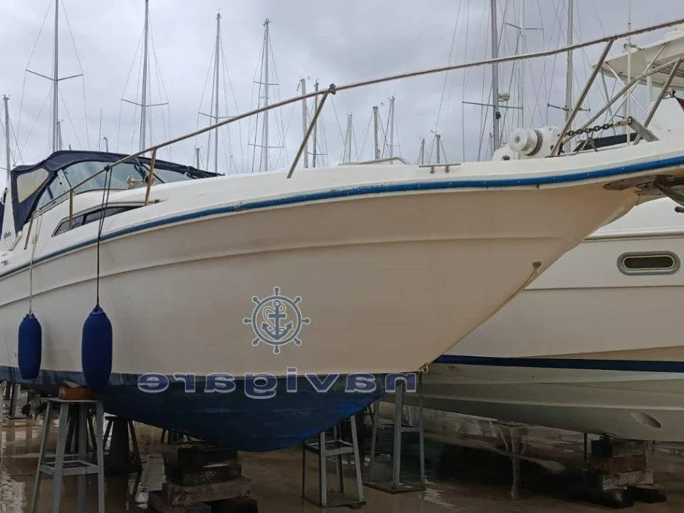 Sea Ray 290 SUNDANCER usato - foto 1
