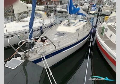 Hallberg-Rassy 312 d'occasion - photo 1