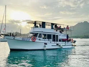 Marine Trader 43 Double Cabin usato - foto 1