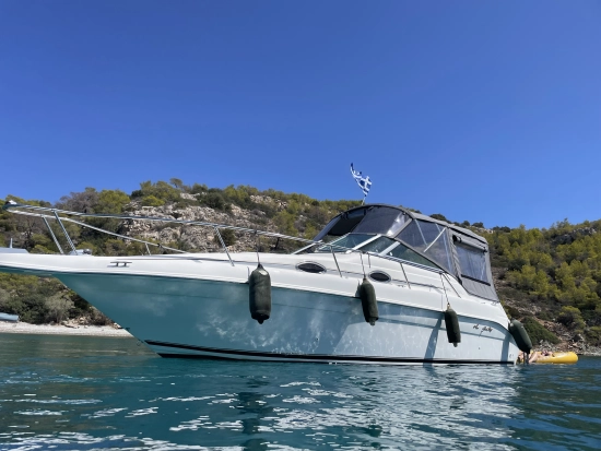Sea Ray Sundancer 250 gebraucht - Foto 1