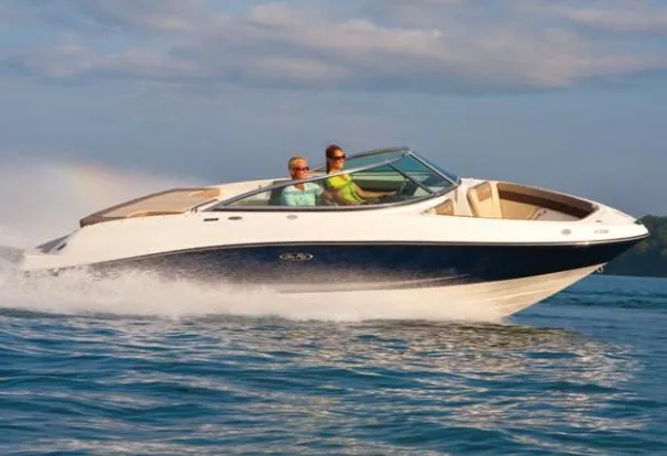 Sea Ray 210 usato - foto 1
