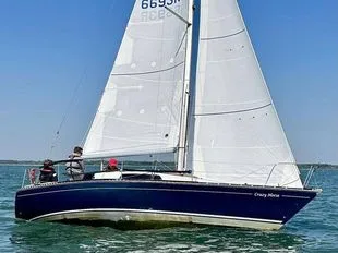 Trapper 300 used - photo 1