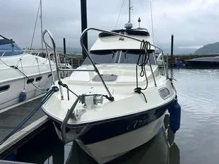 Sealine 305 Statesman (1986) usato - foto 1