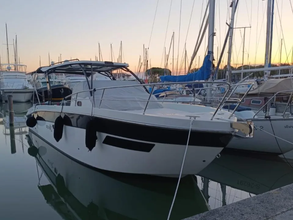 Saver 330 Walkaround d'occasion - photo 1